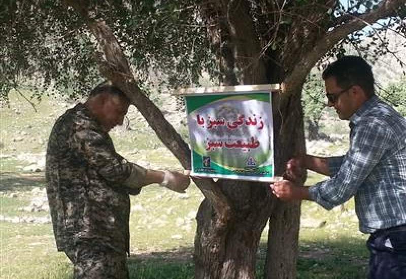 پاكسازی طبیعت منطقه گردشگری تنگ نارك توسط بسیجیان و كاركنان شركت نفت و گاز گچساران