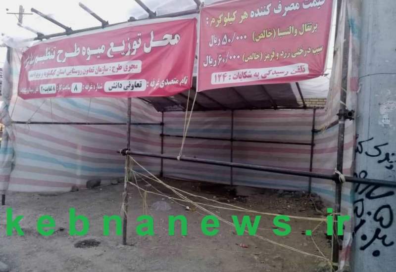 مدیران کهگیلویه و بویراحمد از عهده مدیریت بازار هم بر نمی‌آیند / غرفه‌های توزیع میوه شب عید در سومین روز سال تعطیل شدند (+ تصاویر)