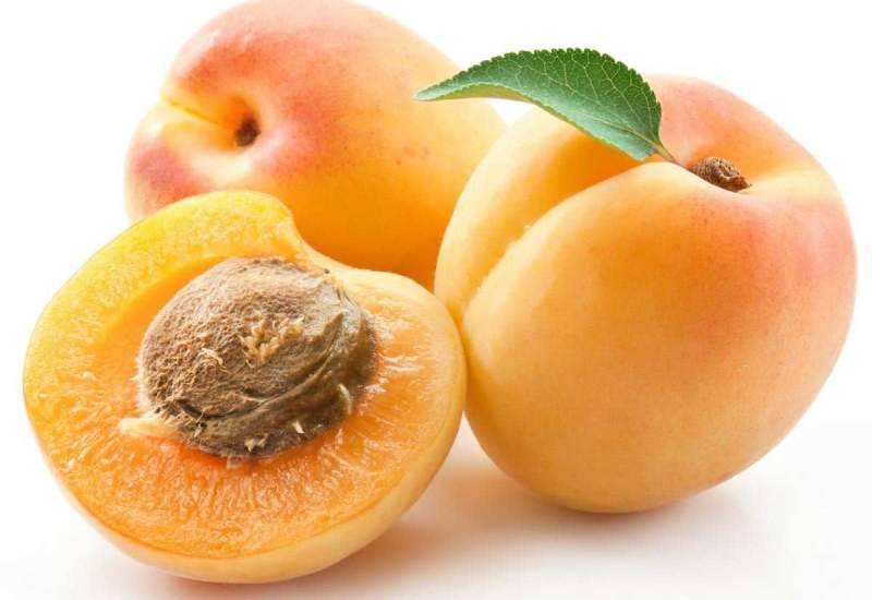 آیا مغز هسته زردآلو به درمان سرطان کمک می‌کند؟