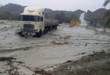 عکس تزئینی می باشد.