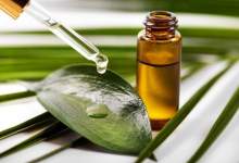 ۱۱ خاصیت باور نکردنی روغن درخت چای