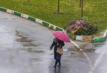 میزان بارش‌ها در کهگیلویه و بویراحمد + جزئیات