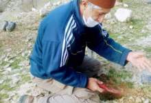 سجده بر خاک و کاشت نهال در «سرفاریاب» (+فیلم)  <img src="/images/video_icon.png" width="11" height="10" border="0" align="top">