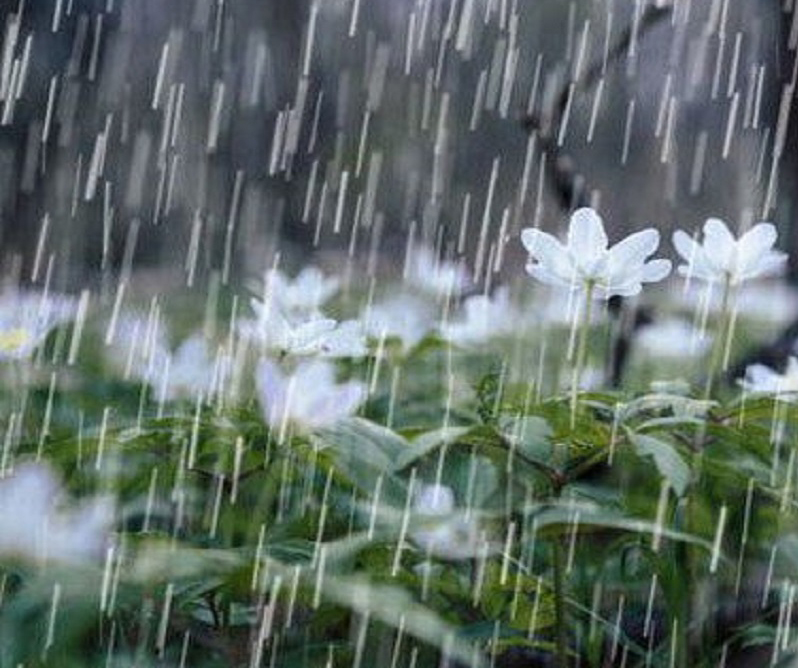 بارش باران در روز سیزده بدر؛ از کهگیلویه و بویراحمد تا خراسان شمالی -  کبنانیوز