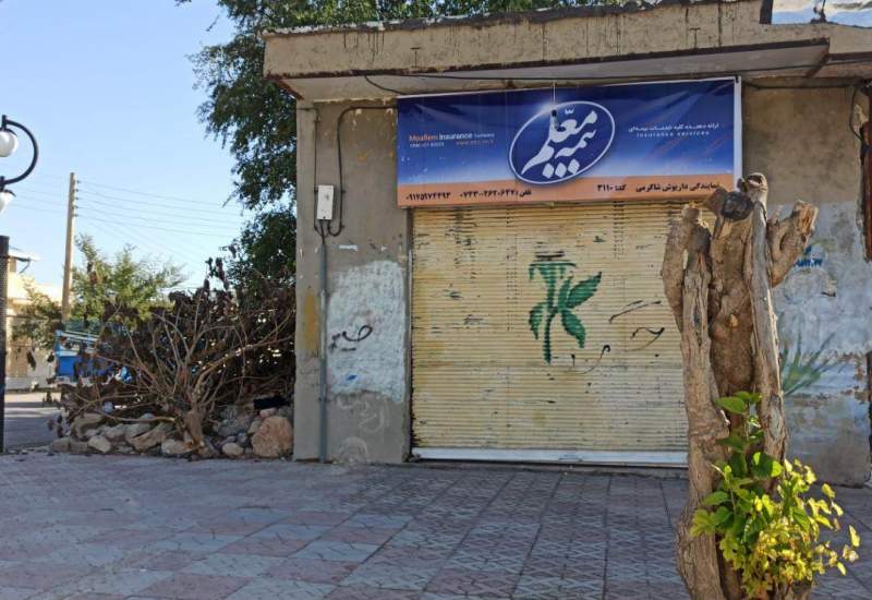 اقدام ناشایست قطع درخت توت در خیابان معلم باشت