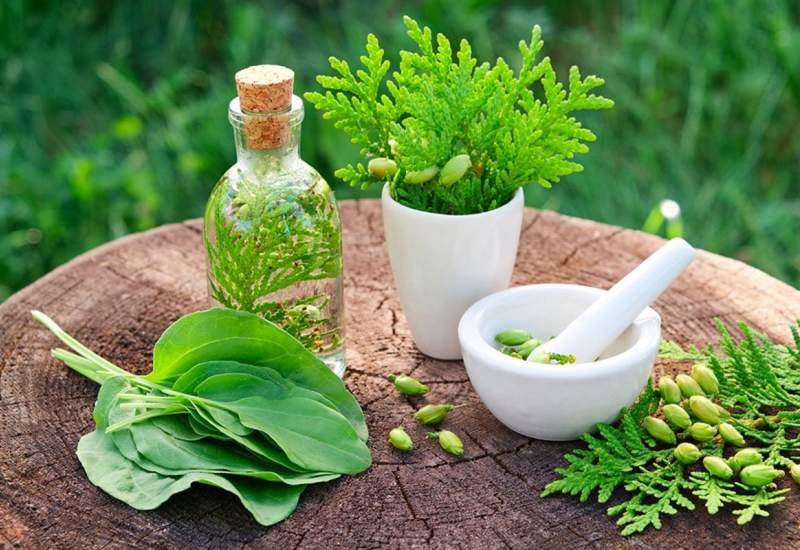 شگفت انگیزترین دارو‌های گیاهی