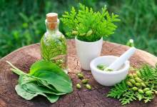 شگفت انگیزترین دارو‌های گیاهی