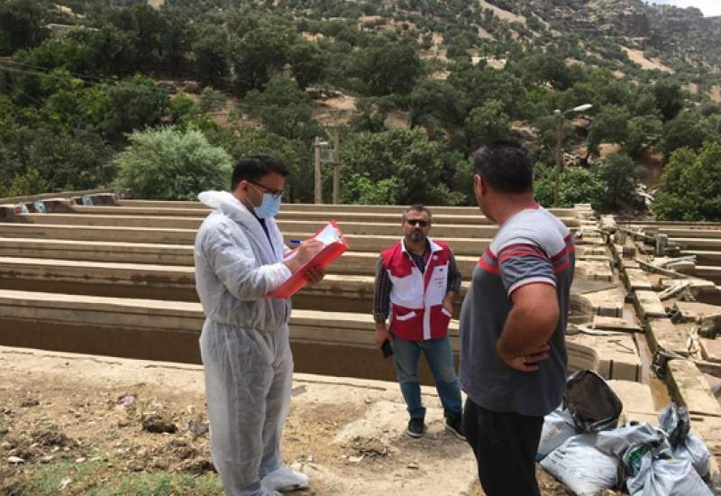 اعزام 6 اکیپ واکنش سریع دامپزشکی کهگیلویه وبویراحمد به مناطق سیل زده