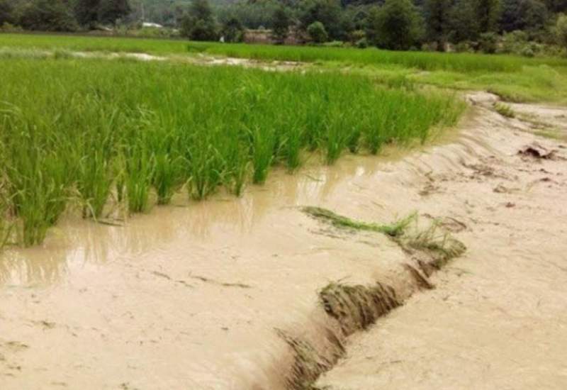 گلایه کشاورزان از عدم مدیریت سیل و خسارت های سنگین به کشاورزان / سیل زمین هایمان را نابود کرد