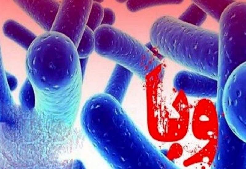 ابتلای ۳ نفر به بیماری وبا در چهارمحال و بختیاری