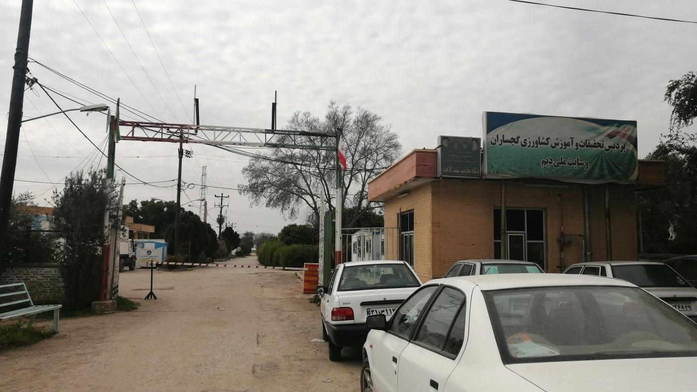 پردیس تحقیقات کشاورزی گچساران یکی از مراکز مهم تولید بذر در کشور است