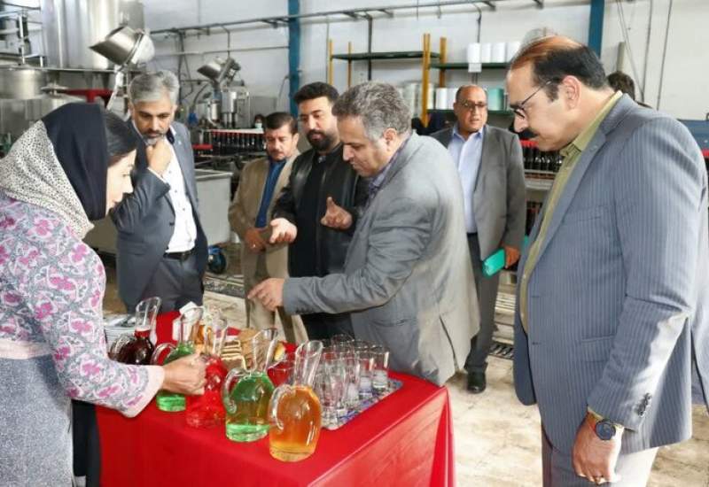 سفر دو روزه سرپرست امور اعتباری بانک توسعه تعاون کشور به کهگیلویه و بویراحمد