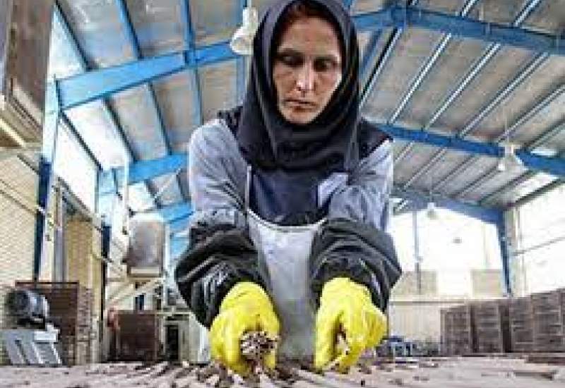 زنانی که زندگی خود را فدای یک لقمه نان کرده‌اند