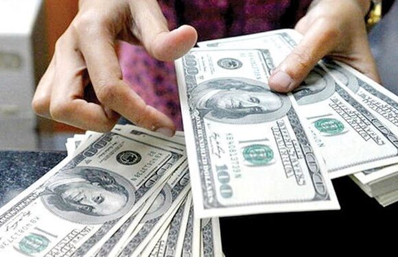 عبور قیمت دلار از مرز 40 هزار تومان / حباب بزرگ ارز یا فرافکنی مسوولان؟