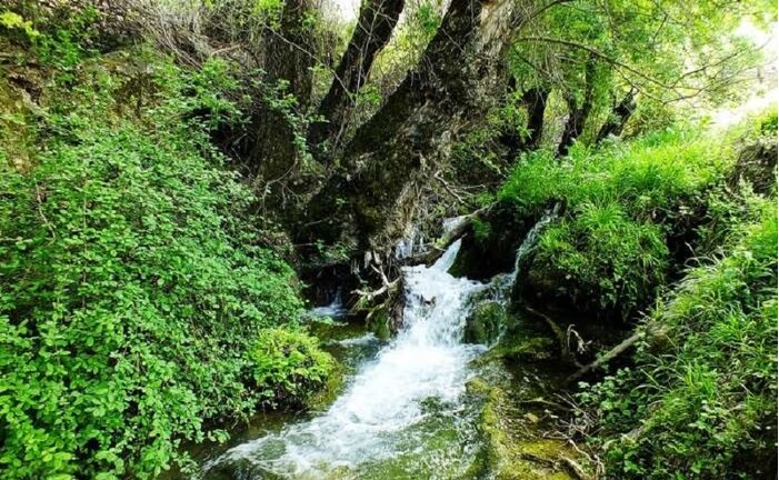 هنرنمایی بهار در طبیعت چهارفصل کهگیلویه و بویراحمد