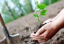 اولین جلسه کمیته علمی ستاد مردمی «کاشت یک میلیارد درخت» تشکیل شد