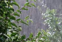 بارش‌های رگباری در کهگیلویه و بویراحمد آغاز شد