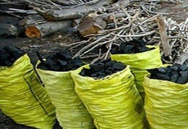 نقره داغ شدن قاچاقچی ذغال جنگلی