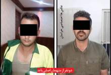 ماجرای مهندسانی که صبح، تجهیزات برقی را در پارک ها نصب می کردند و شب دستور سرقت می دادند!