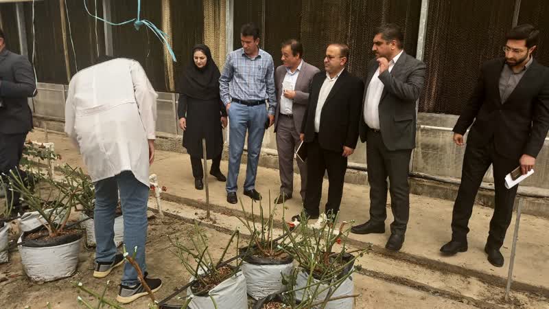 بازدید بازرس کل کهگیلویه و بویراحمد از گلخانهها
