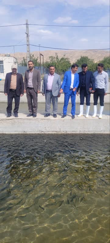 گردش مالی پرورش ماهیان سردآبی از سه هزار میلیارد تومان گذشت