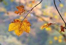 دما در کهگیلویه و بویراحمد کاهش می یابد