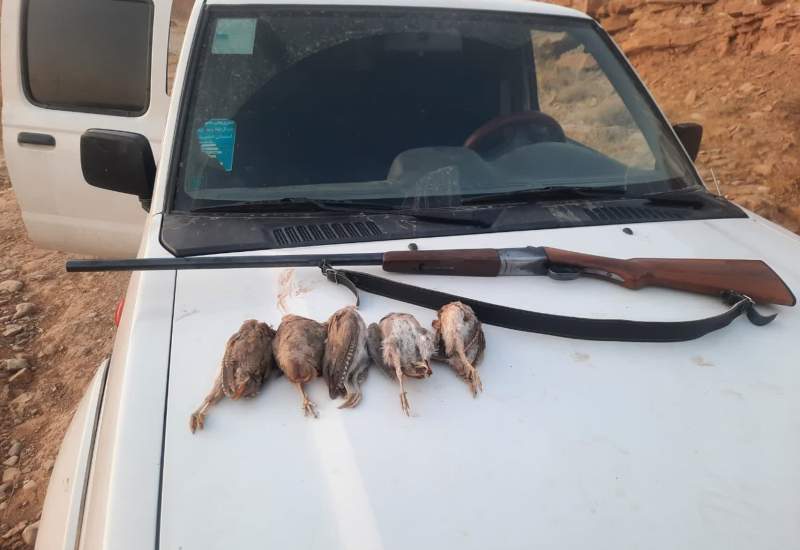 دستگیری 4 گروه متخلف شکار و صید در گچساران