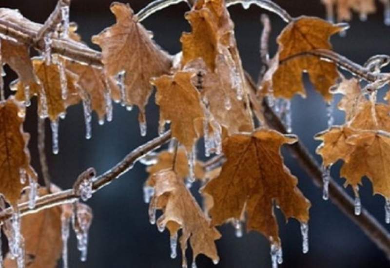 یخبندان سه شهر سردسیری در کهگیلویه و بویراحمد / دما به صفر درجه می‌رسد