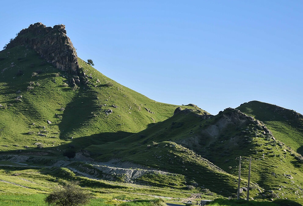 زیبای خفته در محاصره قانونشکنان