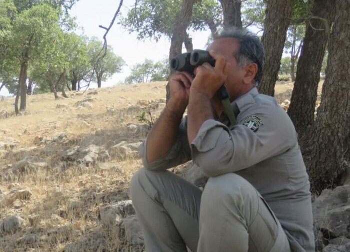 زیبای خفته در محاصره قانونشکنان