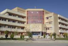 دو عضو هیات علمی دانشگاه علوم پزشکی یاسوج در زمره دانشمندان برتر جهان