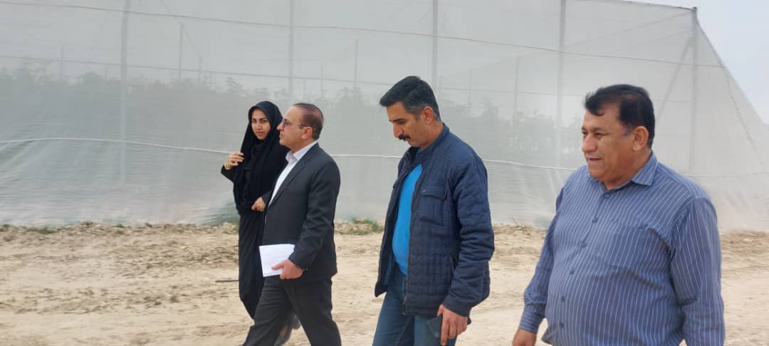 گزارش روابط عمومی جهاد کشاورزی کهگیلویه و بویراحمد: گامهای مؤثر جهاد کشاورزی در کهگیلویه و بویراحمد: افتتاح ۵۰ پروژه مهم در دهه فجر