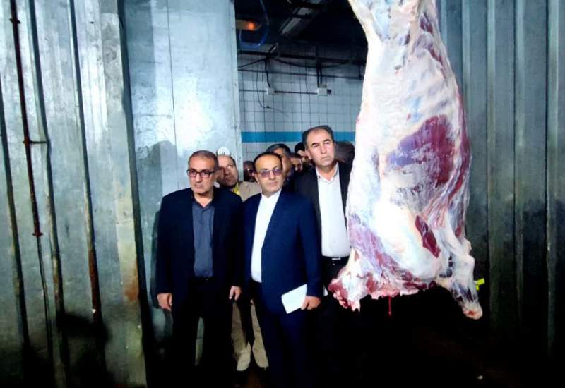 کشتارگاه صنعتی یاسوج؛ ظرفیت بزرگ، بهره‌برداری حداقلی! / چرا تنها ۱۵ درصد ظرفیت کشتارگاه یاسوج فعال است؟