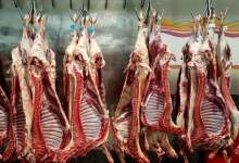 ابتلای دو نفر به سیاه‌زخم در یاسوج/ قصابی با حکم قضایی تعطیل شد