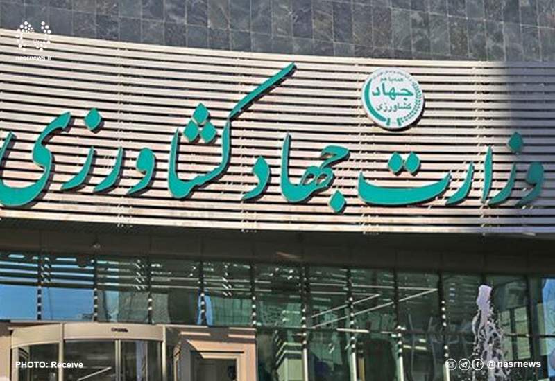 معاون وزارت جهاد کشاورزی: قیمت روغن خوراکی تغییر نمی‌کند