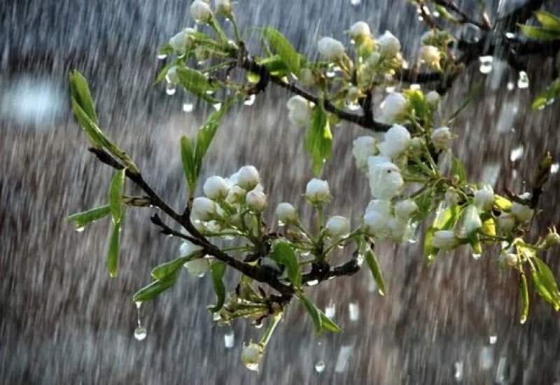 آغاز بارندگی ها در ایران / کاهش دما شروع شد