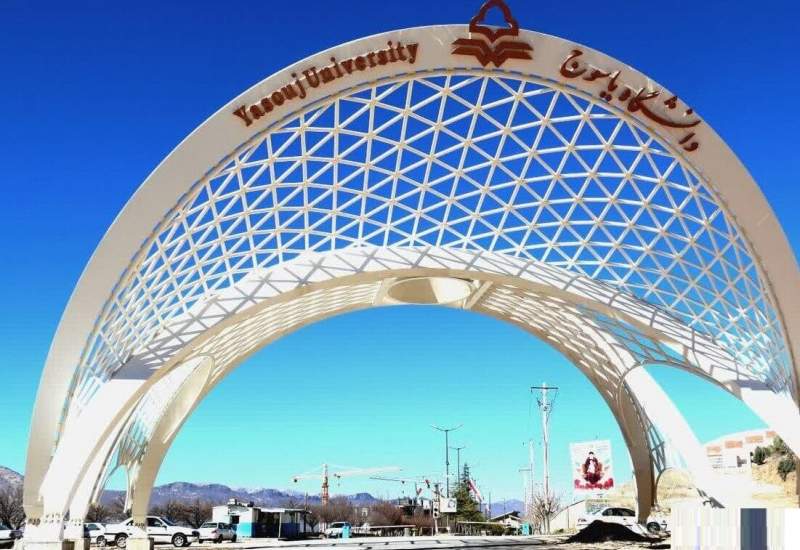 رئیس در سایه؛ چالشی که دانشگاه یاسوج هنوز با آن روبروست؟ / وقتی که در شطرنج دانشگاه یاسوج، مهره‌ها به درستی چیده نشده‌اند / عدم تناسب مدرک تحصیلی یکی از معاونین دانشگاه دردسرساز شد!