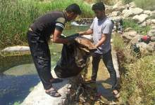 تصاویر | جمع‌آوری زباله رودخانه موگرمون لنده با حضور فرماندار لنده  