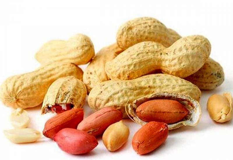 کاهش روند پیری با مصرف بادام زمینی!