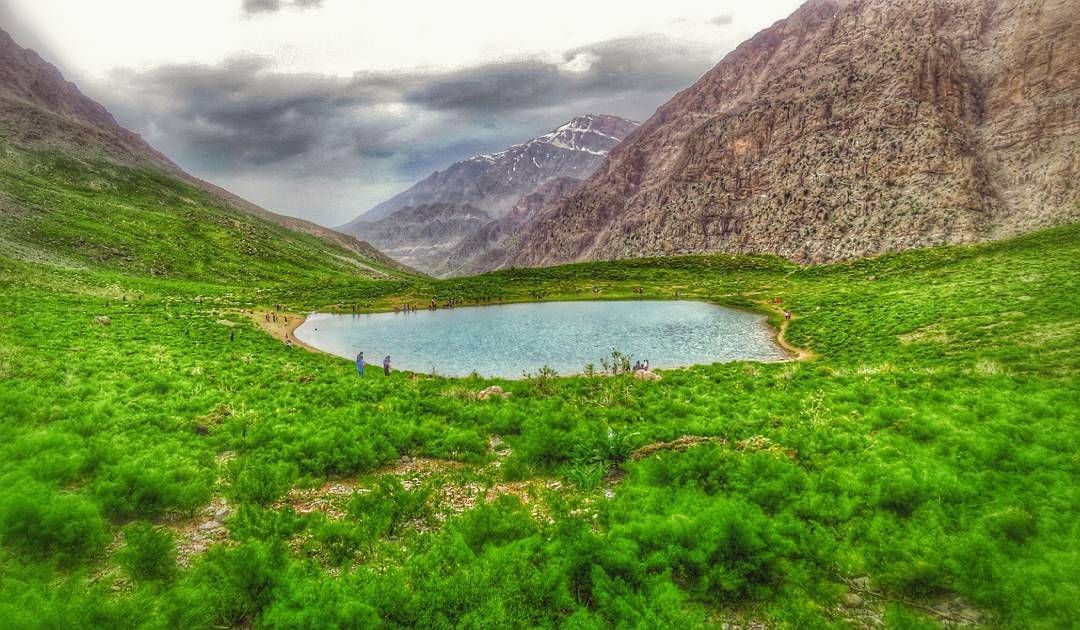 بازار اجاره اقامتگاه و هتل در یاسوج