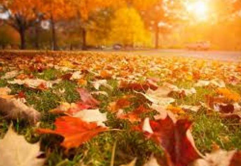 سومین روز پاییز در یاسوج با دمای ۷ درجه‌