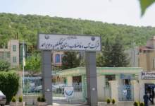 روستای «گل بادام» پنج‌ماه در عطش آب / ۱۶ خانوار با انشعاب و کنتور اما بی‌نصیب از شبکه / وعده‌های میلیاردی مسئولان در برابر تشنگی روستاییان!