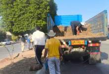 آغاز عملیات بازپیرایی فضای سبز معابر،پارک ها، بلوارهای شهر دوگنبدان(+تصاویر)  <img src="/images/picture_icon.png" width="11" height="10" border="0" align="top">