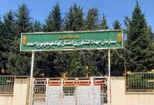واگذاری قسطی یکی از از املاک میلیاردی جهاد کشاورزی کهگیلویه و بویراحمد در یاسوج! / وقتی که صرف و صلاح دولت در تصمیمات دوره پیشین در نظر گرفته نشده بود / چرا ملکی که باید 80 درصد از ارزشش صرف یک هفته پرداخت شود، در عرض سه سال هم پرداخت نشده است؟/  سازمان بازرسی و دیوان محاسبات ورود کنند