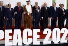 سخنگوی دولت درمورد عدم شرکت در اجلاس شرم‌الشیخ: فقط دولت تصمیم‌گیر نیست؛ جمع‌بندی، این بود