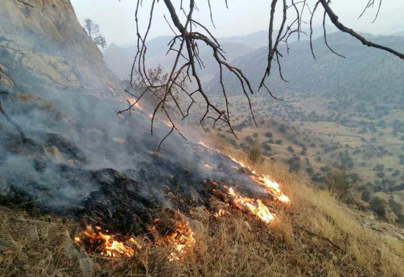 آتشسوزی در جنگل های گچساران به دنبال تیراندازی با گلوله رسام آتشسوزی در جنگل های گچساران به دنبال تیراندازی با گلوله رسام