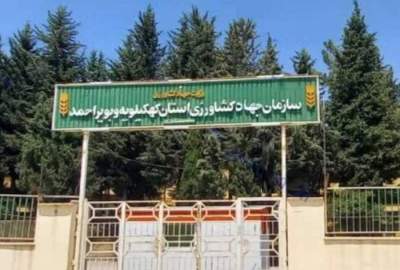 انتصابات و آشفتگی مدیریتی در جهاد کشاورزی کهگیلویه و بویراحمد / لزوم بازگشت به عقلانیت، قانون‌گرایی و شفافیت