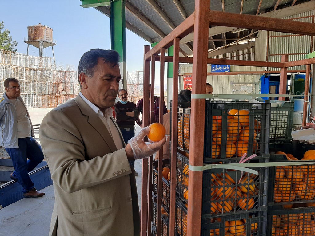 https://www.kebnanews.ir/images/docs/files/000419/nf00419056-2.jpg