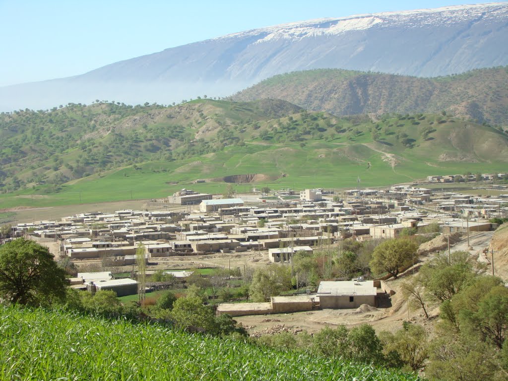 https://www.kebnanews.ir/images/docs/files/000426/nf00426590-2.jpg