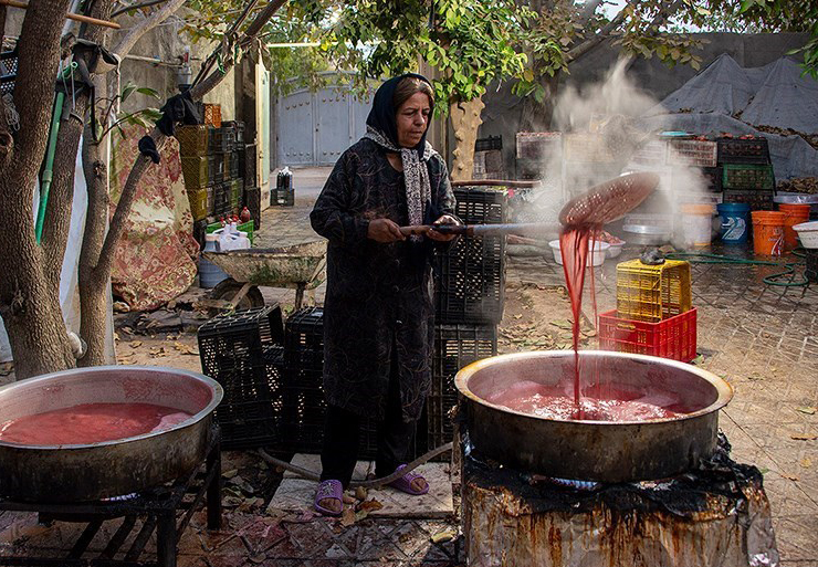 جشنواره انار یاقوتی شهر فاروق فارس